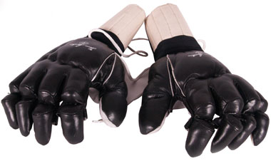 Master Black Kenpo Glove 