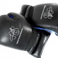 French Style Boxing Gloves 1
